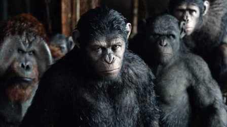 猩猿崛起在线观看,智勇逆袭，重铸家园传奇