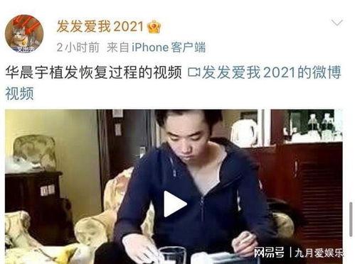 圈内爆料李现金晨,揭秘明星背后的故事