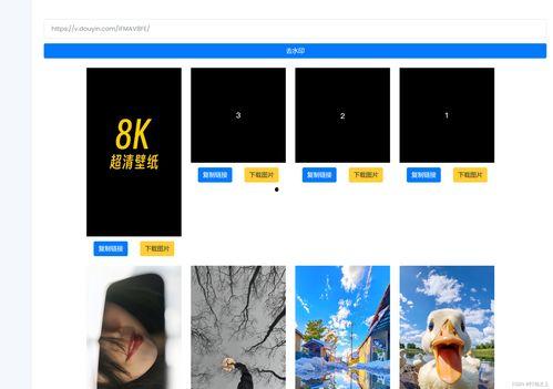 爆料发短视频有用吗,揭秘其传播效果与影响力  第3张